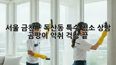 서울 금천구 독산동 특수 청소 상담: 곰팡이, 악취, 걱정 끝!